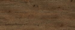 Bristol_Wood