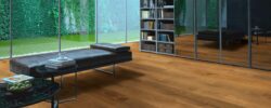 Cabin_Wood_Room_Scene