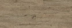 Coast Wood