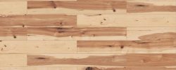 Desert_Hickory