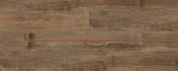 Desert_Wood