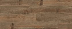 Desert Wood