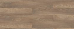 Oxford_Oak