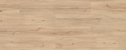 Sand_Maple