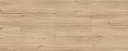 Sand Maple