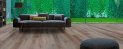 Yukon_Room_Scene