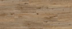 Cambridge_Wood