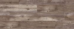 Northern_Timber