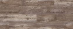 Northern Timber