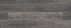 Shadow_Oak
