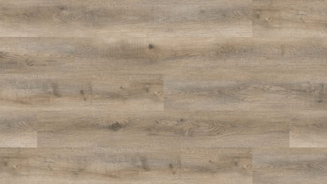 Bridge Plank