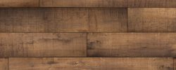 Shasta Oak