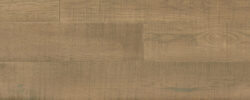 Calabria_Hickory