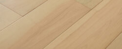 Pallida_Maple_Angle