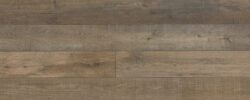 Cocoa Birch