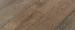 Cocoa_Birch_8081_Angle