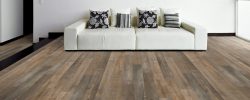 Cocoa_Birch_8081_RS