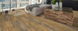 Medley_Pine_8079_RS
