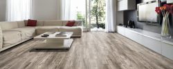 Mojave_Oak_8048_RS