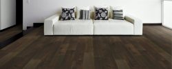 Nocino_Walnut_Room_Scene