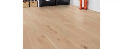 Pallida_Maple_Room_Scene