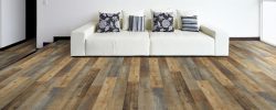Russet_Pine_8088_RS