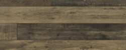 Shadow_Birch_8080