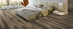 Shadow_Birch_8080_RS