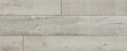 Winter_Birch_8082