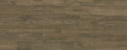 ADIRONDACK EUCALYPTUS_7100SM