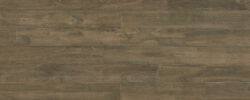 Adirondack Eucalyptus | 7100