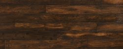 Eiger Eucalyptus | 7099