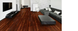 HUMBOLDT EUCALYPTUS_7101SM_RS