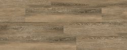 Boreal_Oak
