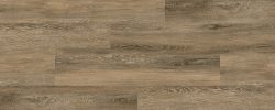 Boreal Oak