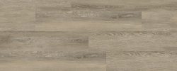 Plains_Oak