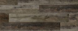 Auburn_Oak
