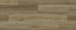 Vermont_Oak