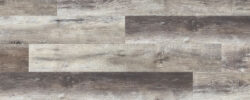 Buckeye_Plank