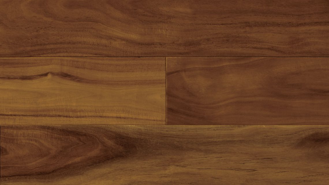 Cinnamon Acacia | 7090
