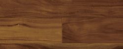 Cinnamon Acacia | 7090