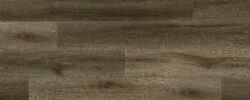 Daytona Oak