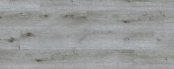 Panama_Pine