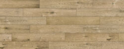 Bower_Oak