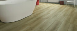 Canim_Oak_Room_Scene