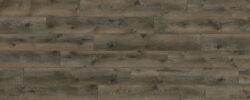 Coffee_Oak