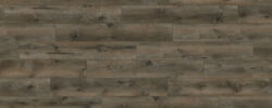 Coffee Oak