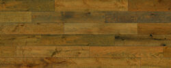 Liberty_Oak
