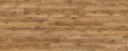 Sandhill_Oak