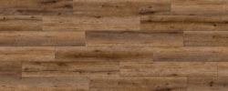 Sheridan_Bay_Oak